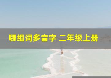 哪组词多音字 二年级上册